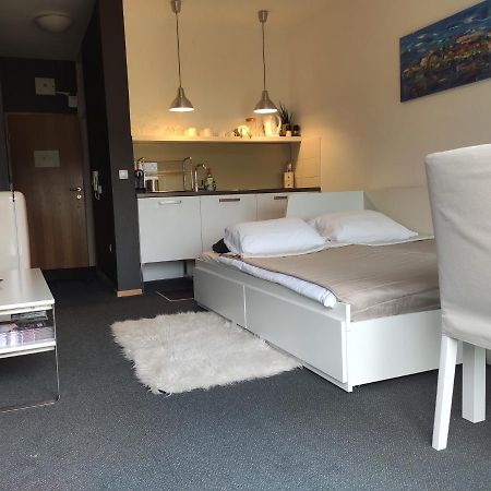 Studio Apartment "Iris" Ptuj Eksteriør billede
