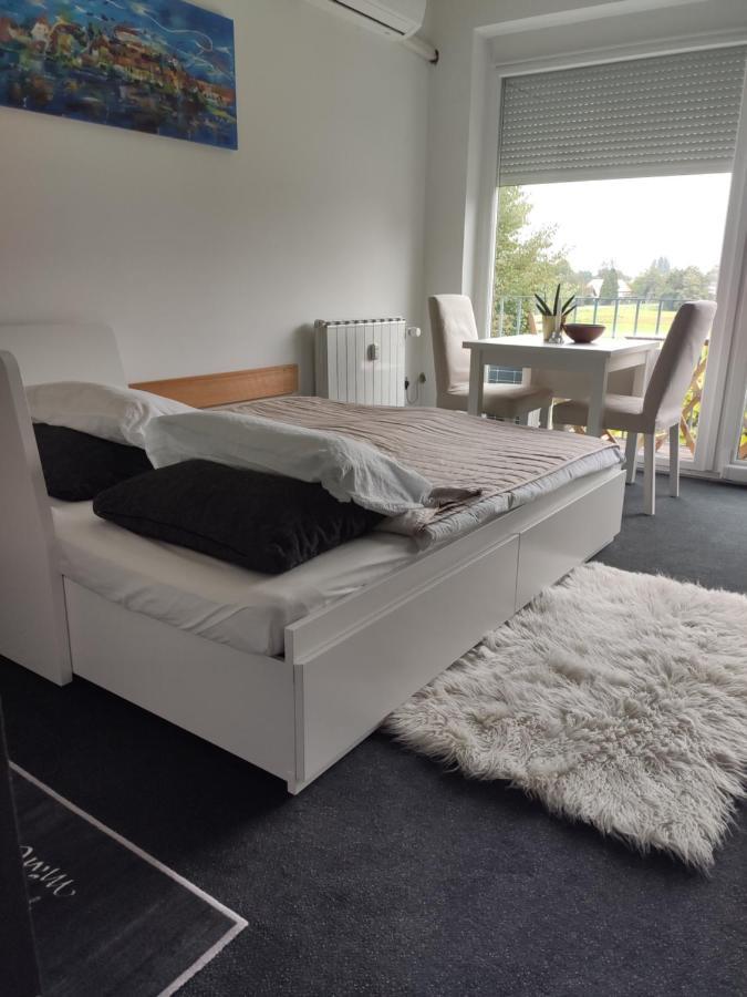 Studio Apartment "Iris" Ptuj Eksteriør billede